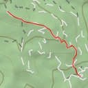 thumbnail for AI - Eagle In Tree (rest stop)