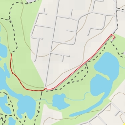 thumbnail for AI - Birdhide