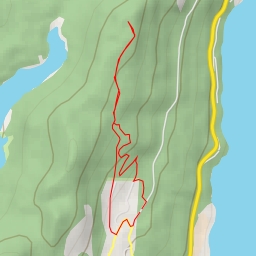 thumbnail for AI - Turkey Vulture Loop - West Kelowna