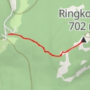 thumbnail for AI - Ringkollen