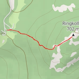 thumbnail for AI - Ringkollen