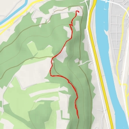 thumbnail for AI - NS Větruše-Vrkoč č. 4: Invazní (nepůvodní) rostliny - Ústí nad Labem