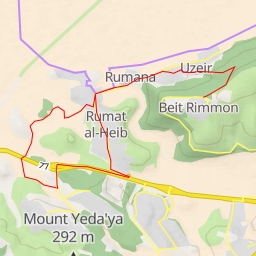 thumbnail for AI - בית רימון