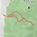 thumbnail for AI - Соколинка