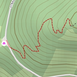 thumbnail for AI - Pian della Fonte - Loro Ciuffenna