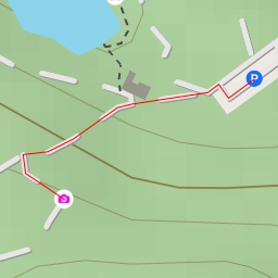 thumbnail for AI - Japanische Magnolie