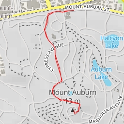 thumbnail for AI - George Washington Tower