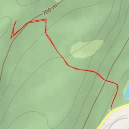 thumbnail for AI - Bear Bones - West Kelowna