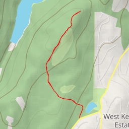 thumbnail for AI - Mr. Toads - West Kelowna