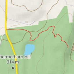 thumbnail for AI - Plunge Pool