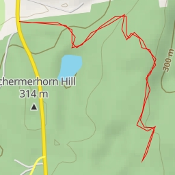 thumbnail for AI - Teal Pond