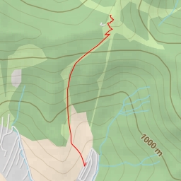 thumbnail for AI - Vyhliadková veža - chodník v korunách stromov