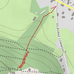 thumbnail for AI - The Zig-Zag - East Hampshire