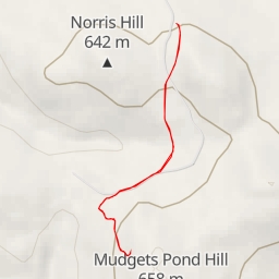 thumbnail for AI - Captain Norris - Dorchester