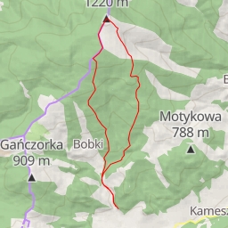 thumbnail for AI - Wieża widokowa