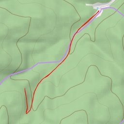 thumbnail for AI - Niedźwiedzi Potok