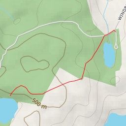 thumbnail for AI - Crissey Pond