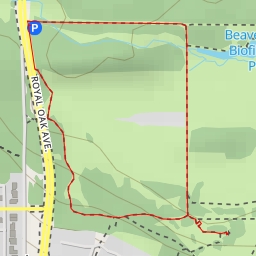 thumbnail for AI - Lookout tower - Burnaby