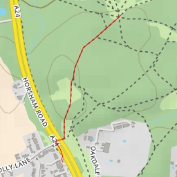 thumbnail for AI - Holmwood Common