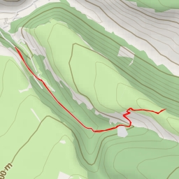 thumbnail for AI - Священное Фисташковое дерево 1437 год