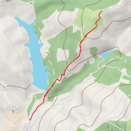 thumbnail for AI - Nocellito