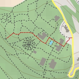 thumbnail for AI - Дуб пушистый - Никита