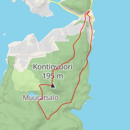 thumbnail for AI - suovuori