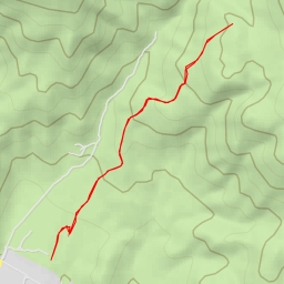 thumbnail for AI - Buitrera