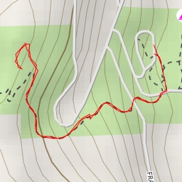 thumbnail for AI - Dorothy Cleveland Trail
