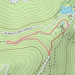 thumbnail for AI - Vuelta de la Palma Chilena