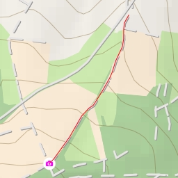 thumbnail for AI - Aussichtspilz - Kohlberg