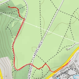 thumbnail for AI - The Gulley - Bristol