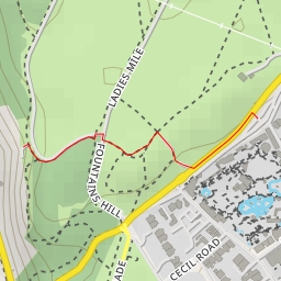 thumbnail for AI - Peregrine watch - Bristol