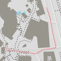 thumbnail for AI - African Painted Dog - Chicago