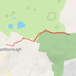 thumbnail for AI - Heronry Viewpoint