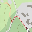 thumbnail for AI - The Crocker Cypress Grove