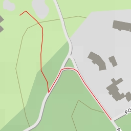 thumbnail for AI - The Crocker Cypress Grove