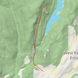 thumbnail for AI - Daze of Roses - West Kelowna