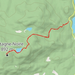 thumbnail for AI - Mirador