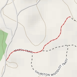 thumbnail for AI - Long Marsh Elevated Boardwalk