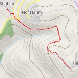 thumbnail for AI - תצפית הר שילה