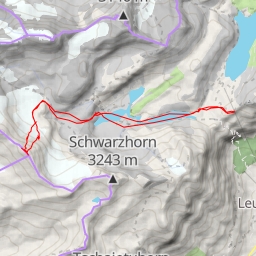 thumbnail for Schneehore Face N