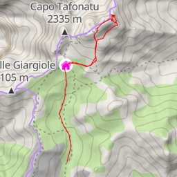 thumbnail for Paglia Orba Voie Finch