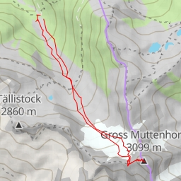 thumbnail for Gross Muttenhorn Versant NW