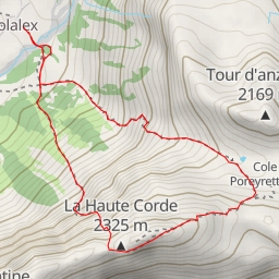 thumbnail for Miroir d'Argentine Papageno