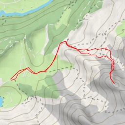 thumbnail for Paré de Joux Aravicimes
