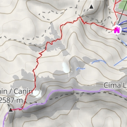 thumbnail for Kanin Voie Julia