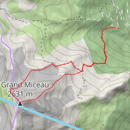 thumbnail for Le Grand Miceau Arête NE (de Cuchet)