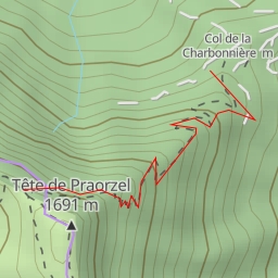 thumbnail for Tête de Praorzel Versant E