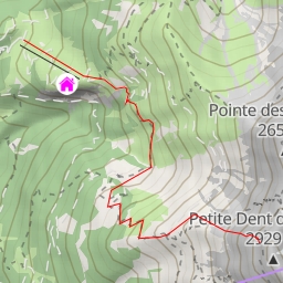 thumbnail for Roc Champion Face NW